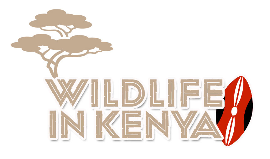 Galerie Fototeam Timo Erhard, Kindergartenfotograf Bayern